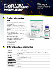 Download BIZENGRI Product Fact Sheet form image